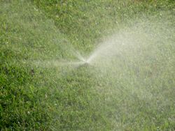 Irrigation Installation