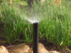 RID sprinkler system
