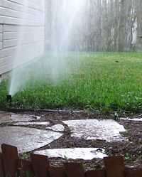 sprinkler system